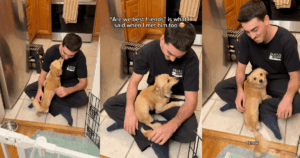 Βίντεο: Ο φίλος του Foster Mom «Falls In Love» με το Tripod Dog